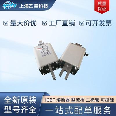 巴斯曼熔断器 170M5954 170M5955 170M5956 170M5957 170M5958