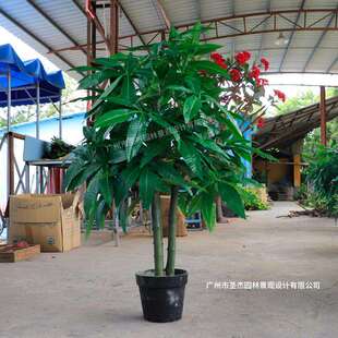 厂家直销仿真发财树酒店婚庆商场人造软装装饰落地摆件仿真绿植