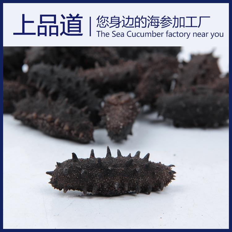 【海参工厂】淡干海参辽刺参干货厂家直供50g天然