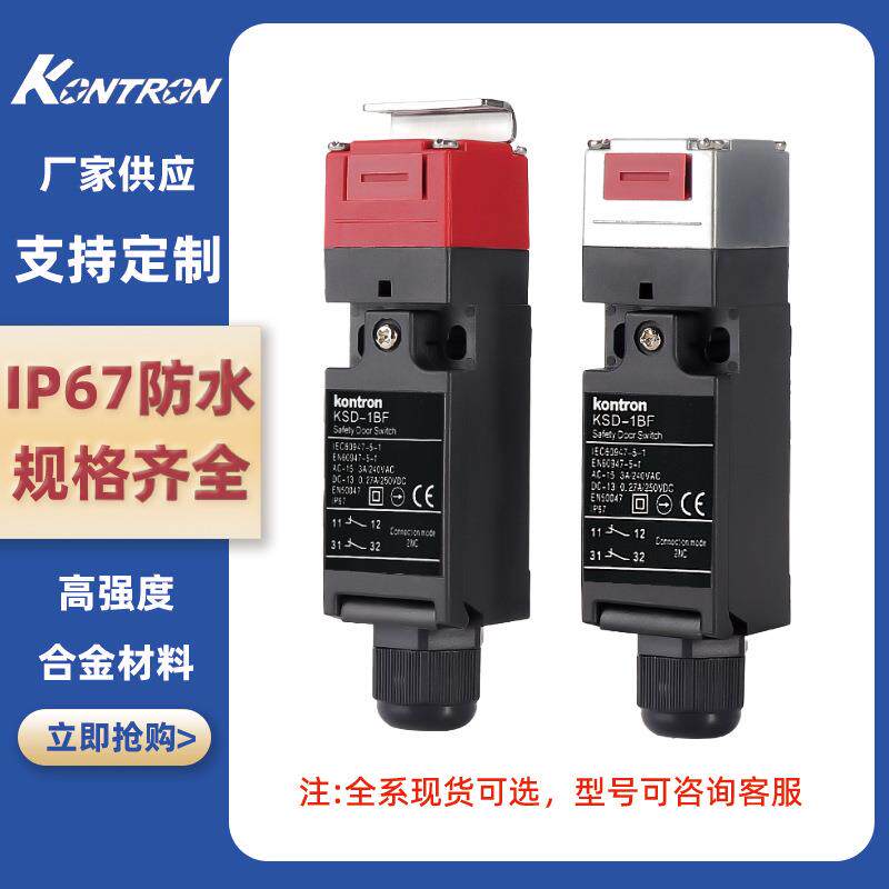 型号D4NS—1AF厂家小型电磁锁，安全门开关，安全磁锁开关