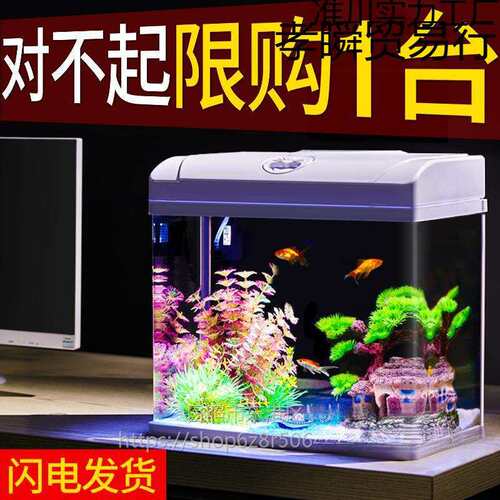 鱼缸客厅小型迷你桌面家用水族箱新款免换水生态小鱼缸玻璃金鱼缸