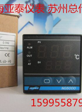 上海100PT2泰SE N公司N仪表 -0温控器TAI亚N60(G0G6有限泰0)亚0