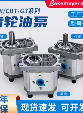 齿轮泵 格-FB3多 铸泵NC液压泵样液压油规铝系