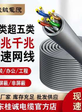 超五类双屏蔽抗干扰纯铜网线家用高速CAT5e双绞网线整箱100/300米