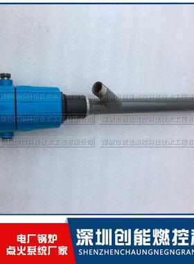 点火控制检测设备 火检探头Unifamep/N401111MD21