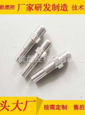 点火杆HNTJ-RM-X2/1100