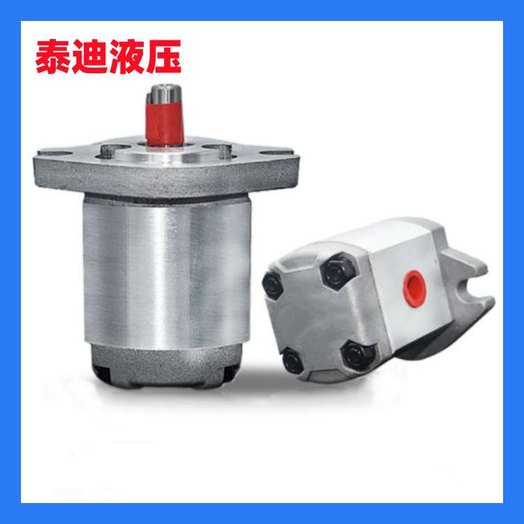 MARZOCCHI马祖奇齿轮泵 ALP1A-D-11-FG液压泵