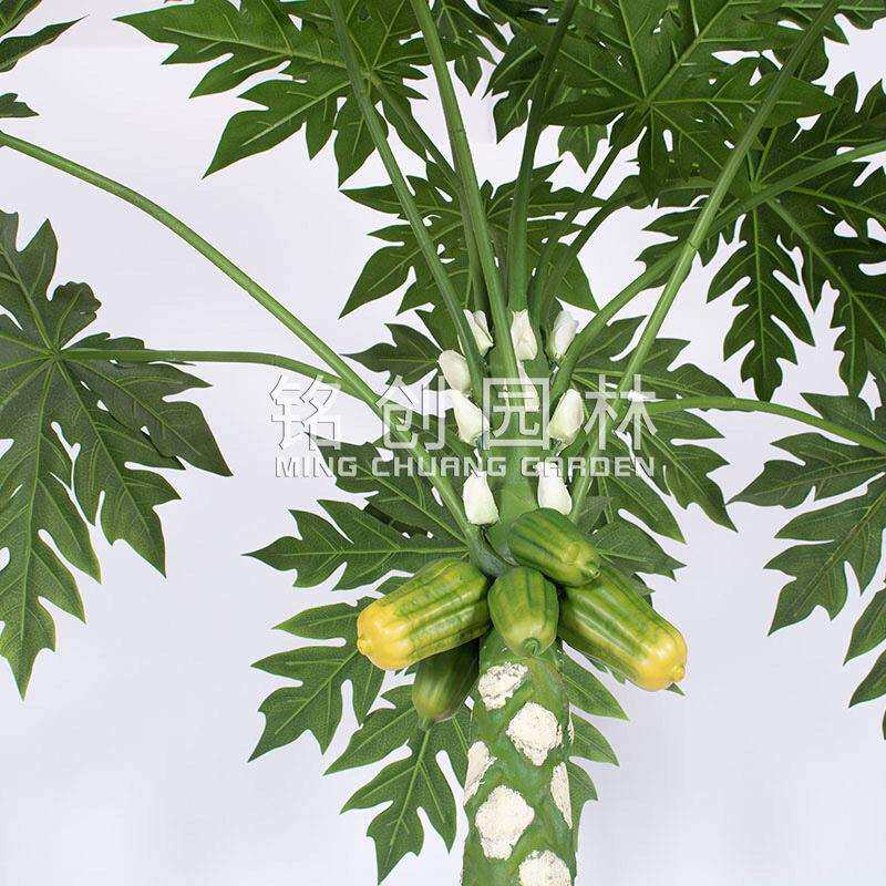 仿真植物万寿木绿植室内盆栽 造景装饰落地大型仿真果树木瓜树