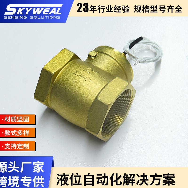 水流止回FS-DN50TDB挡板式水流开关干簧管感应缺水保护开关