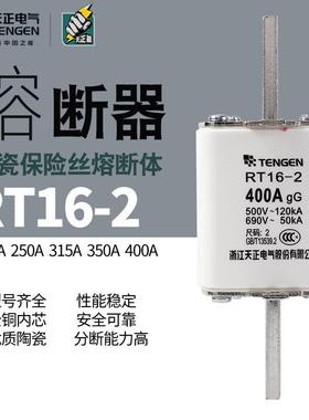 天正电气 RT16-2 NT2 RT36-2 熔断器芯 保险丝315A350A400A