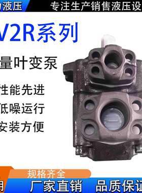 德力PV2R1叶片泵PV2R2液压泵总成PV2R3液压油泵柱塞泵适用注塑机