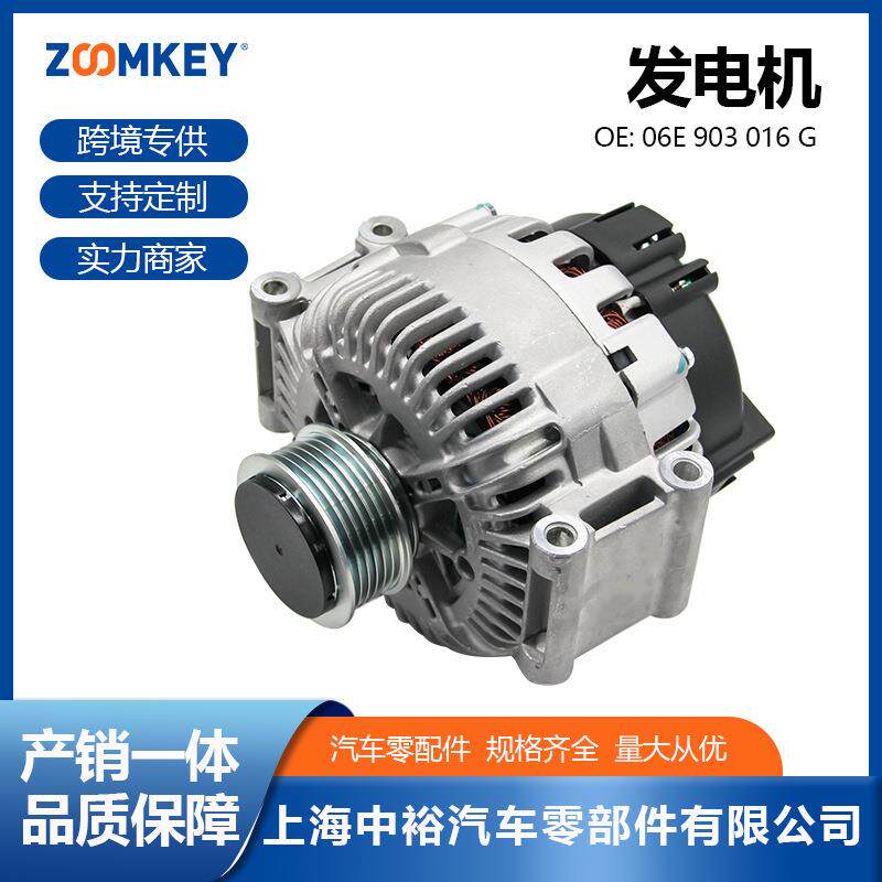 汽车零配件适用于奥迪A6L(C6)2.4/单向轮/12V/180A 06E903016G