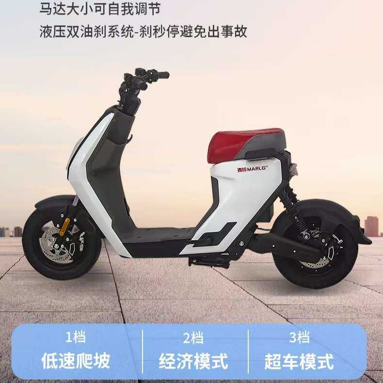 定制新国标电动自行车高速长跑王电摩代步车锂电池成人电动车