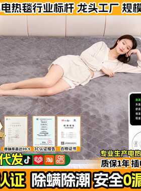 加大电热毯双人家用双温双控智能防漏电小四人电褥子电热毯3c认证