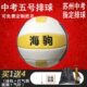 中考号软皮5号苏州姓名定制可海中学生指教学五定球驹纹针排球球