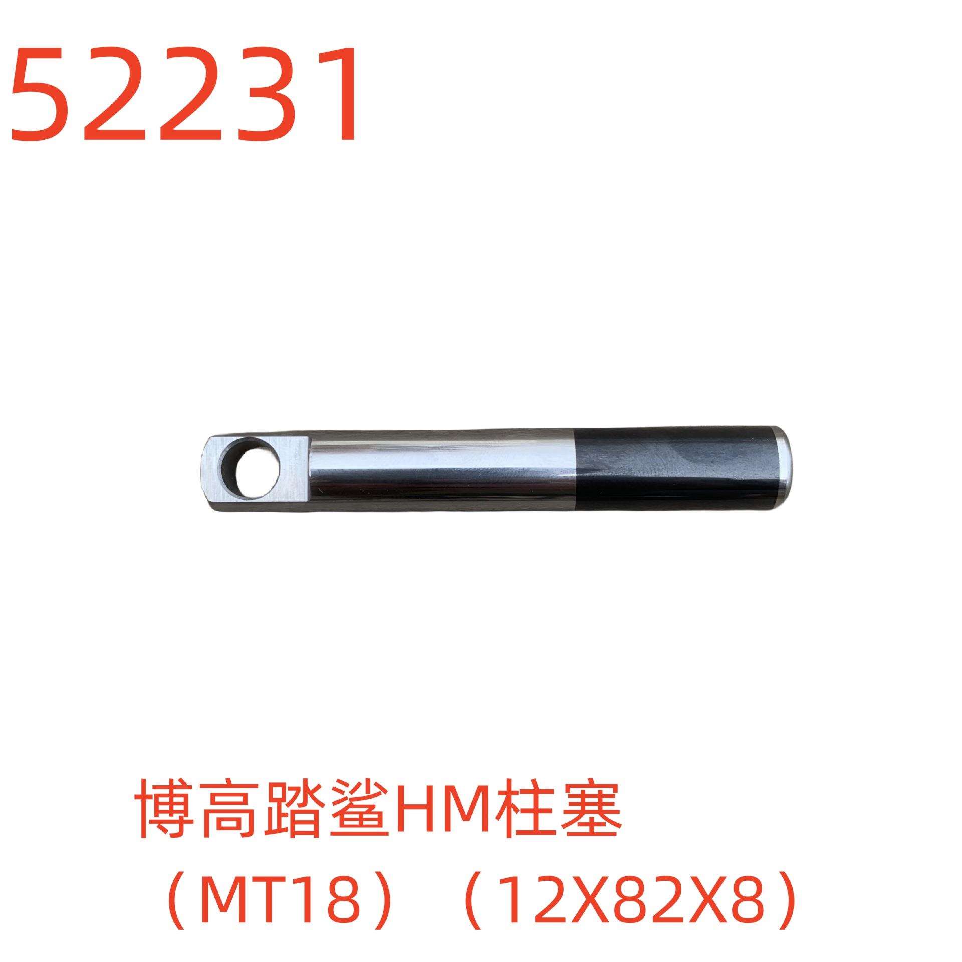 博高踏鲨HM柱塞（MT18）（12X82X8）-52231号