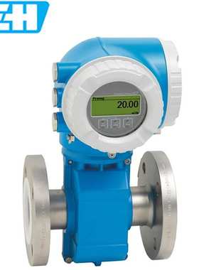 E+H恩德斯豪斯 Proline Promag P300 电磁流量计