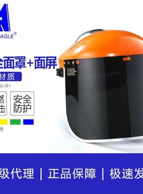 蓝鹰 抗紫外线安全面罩 防液体泼溅 FC48G5+B1 组合防弧光