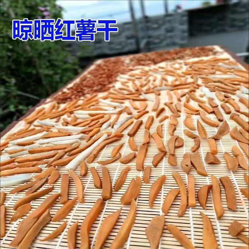 农村晒东西神器乡下暴晒大晒盘晒干菜药材的天然竹帘遮阳装修竹帘