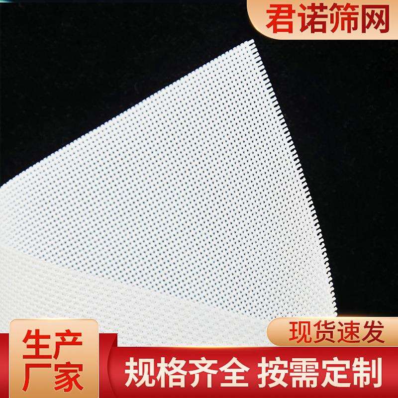 厂家供应聚酯造纸干网 耐高温平织方孔网 洗浆网脱水网