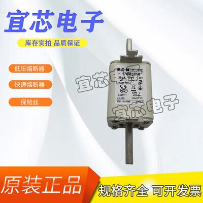 BUSSMANN巴斯曼快速熔断器/保险丝 170M3818 现货直销