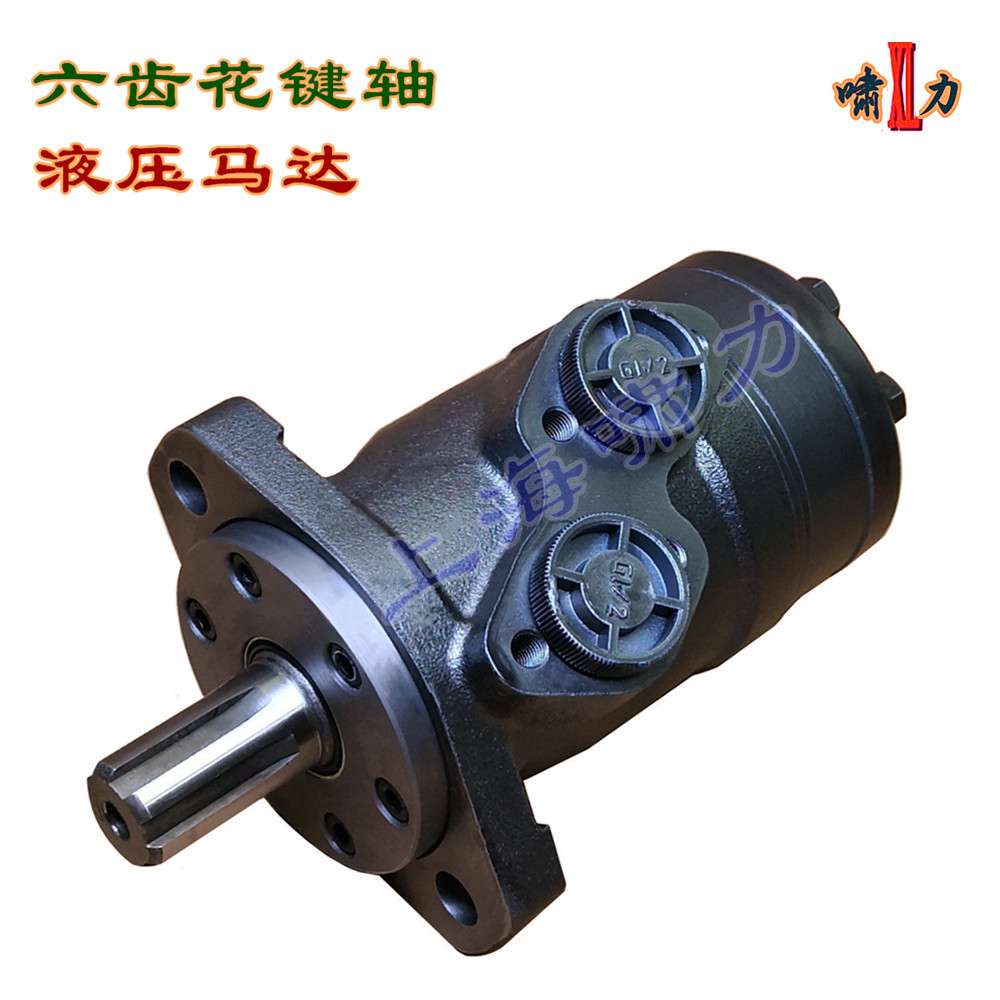上海啸力花键轴液压马达 OMQ-100/50/80/160/200/315/400-2ED E-D