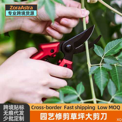 园艺剪枝剪刀园林花艺修剪树枝剪刀果树剪刀粗大花剪家用剪子工具