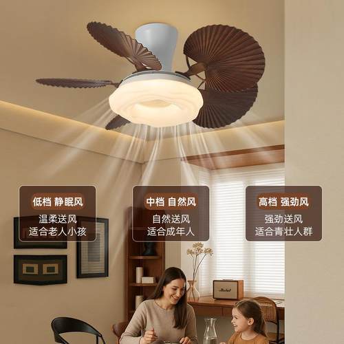 2025款中古风卧室风扇灯吸顶护眼静音简约书房餐厅吊扇灯中山灯具