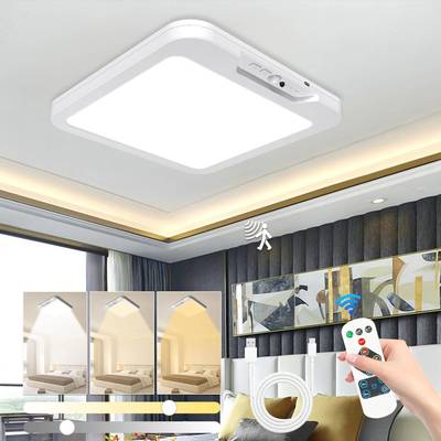 Rechargeable induction ceiling lamp with remote control