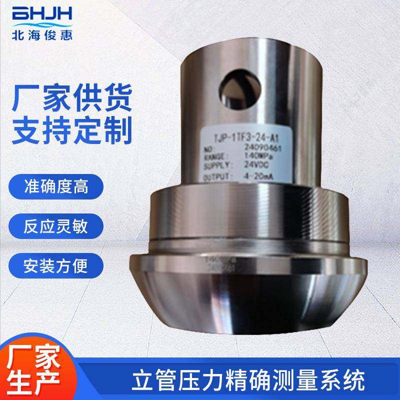 立管压力精确测量系统液晶表盘金属外壳组成易安装可数据存储,工业油品/胶粘/化学/实验室用品,其他实验室设备,淘宝优惠券,粉丝福利购,淘宝优惠卷