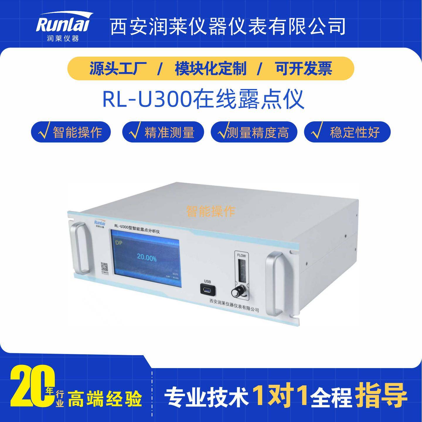润莱微量水分检测仪智能测量精度高在线露点仪五氧化二磷分析仪