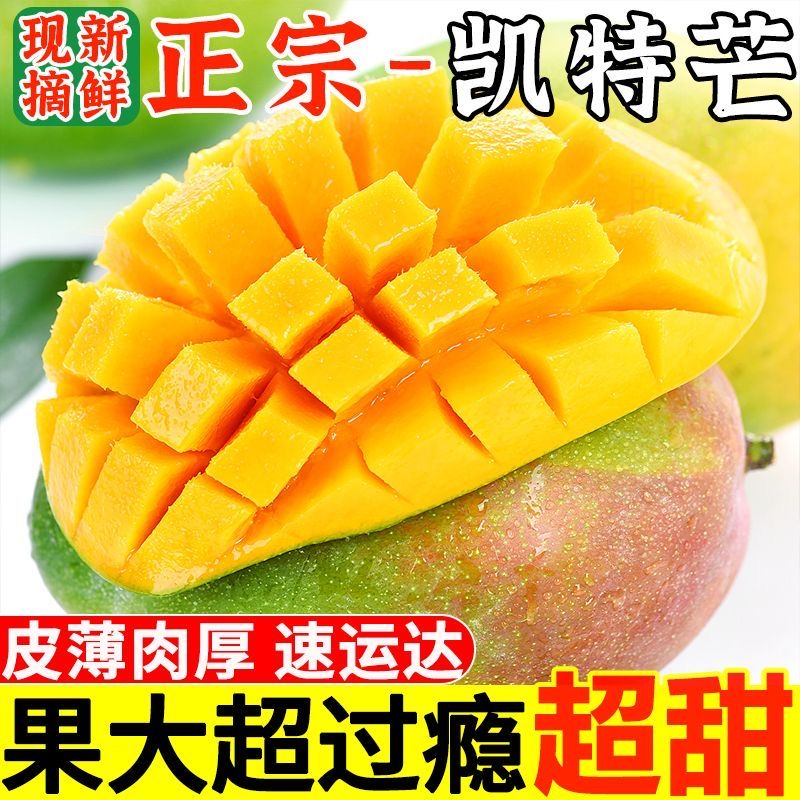 2025现摘凯特芒果9斤新鲜水果当季现摘超甜大青皮芒果整箱包邮QQQ