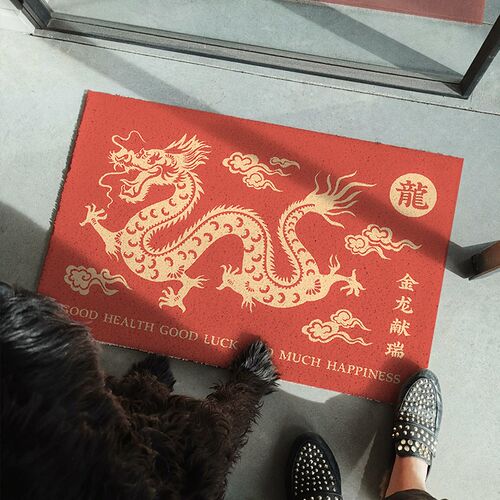一拾一喜庆龙年家用入户玄关地垫C可裁剪丝圈脚垫耐磨耐脏门口地