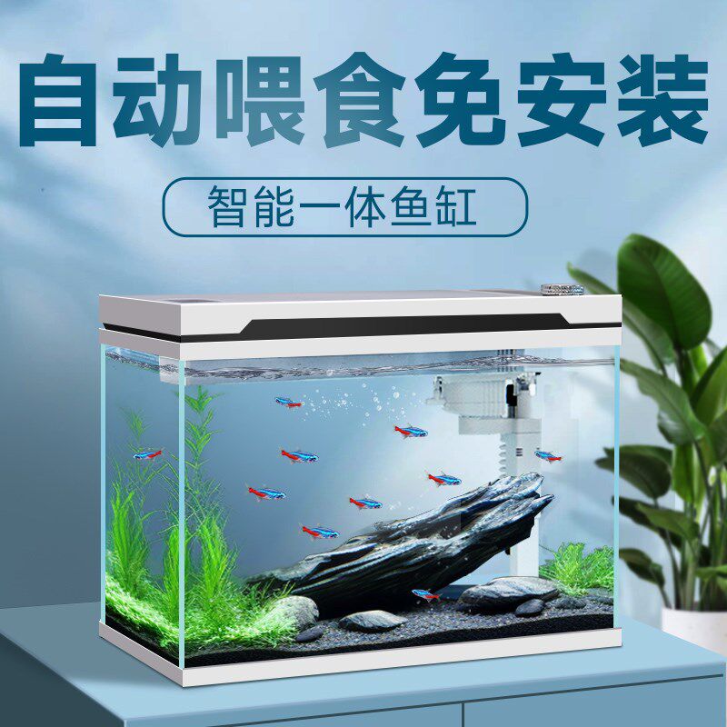 智能鱼缸免换水客厅小型造景生态家用背景超白玻璃桌面循环新款