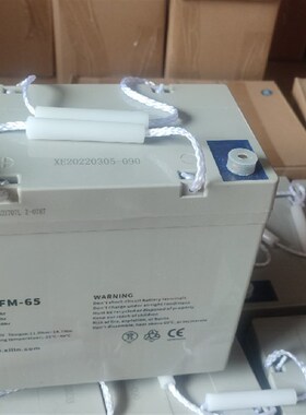 xilin西林叉车搬运车电J池12V65Ah一只