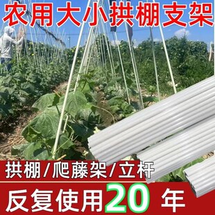 架杆种菜瓜果爬藤架西红s柿豇豆塑料纤维杆菜园支架玻纤秧苗植物