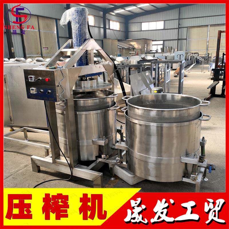 冰糖雪梨压榨收汁机桑葚果饮料压榨机全自动液压式压榨机厂家