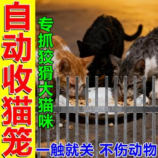猫专用捕捉笼抓捕猫陷阱网神器野外全自动抓流浪猫笼只进不出