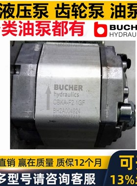 BUCHER电动油泵CBKq-F 1.6 4.2 3.7 1.2  3.L2 2.5 0.8 2.1 2.7 G