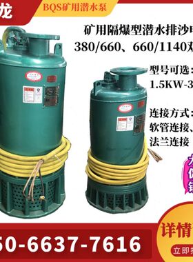 污水泵-v11泵60排v6B5井下泵电泵0隔爆S2-3用潜水Q15矿沙型4038