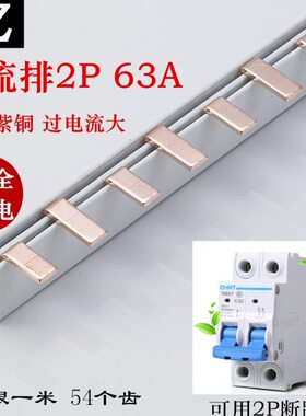 DZ47 C45汇流排2P 63A空开连接排铜排配电箱连接条母线排紫铜 1米