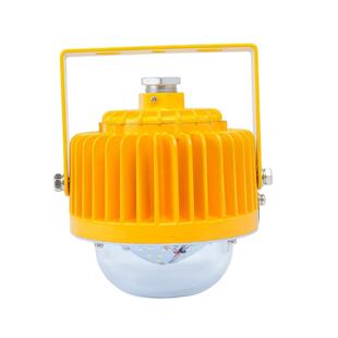 浙江三乐照明免维护led防爆灯SLD3100 30w仓库加油站照明节能灯