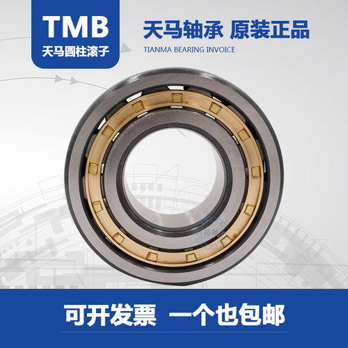 TMB天马RN306 RN307 RN309 RN310 RN311 RN312 RN228减速偏心轴承