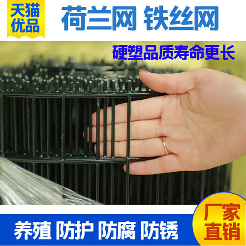 加硬加粗硬塑荷兰网铁丝网围栏鱼塘养殖拦鸡网果园圈地钢丝防护网