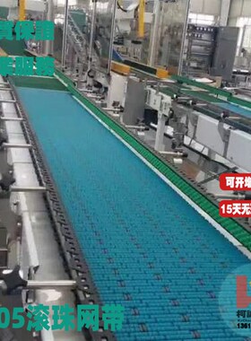 1005滚珠塑料网带网链板25.4节距滚轮无阻力紫色蓝滚珠传送输送带