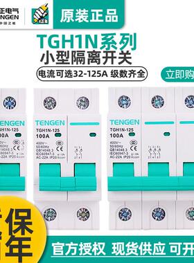 TGH1N天正HL30-125NH21P2P 3P4P63A100A导轨式隔离开关断路器