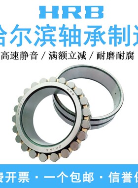 HRB哈尔滨机床主轴轴承NN 3020 3021 3022 3024 3026 K/P5/P4 W33