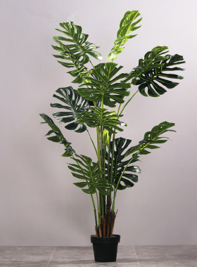 北欧落地绿植摆件家居客厅办公室服装店装饰盆景裂口芋植物摆设