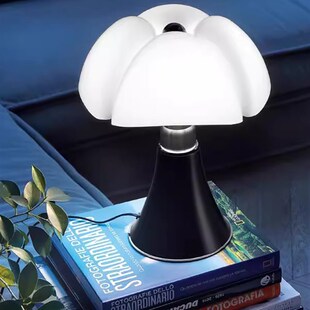 蝙蝠台灯落t地灯有线现代简约