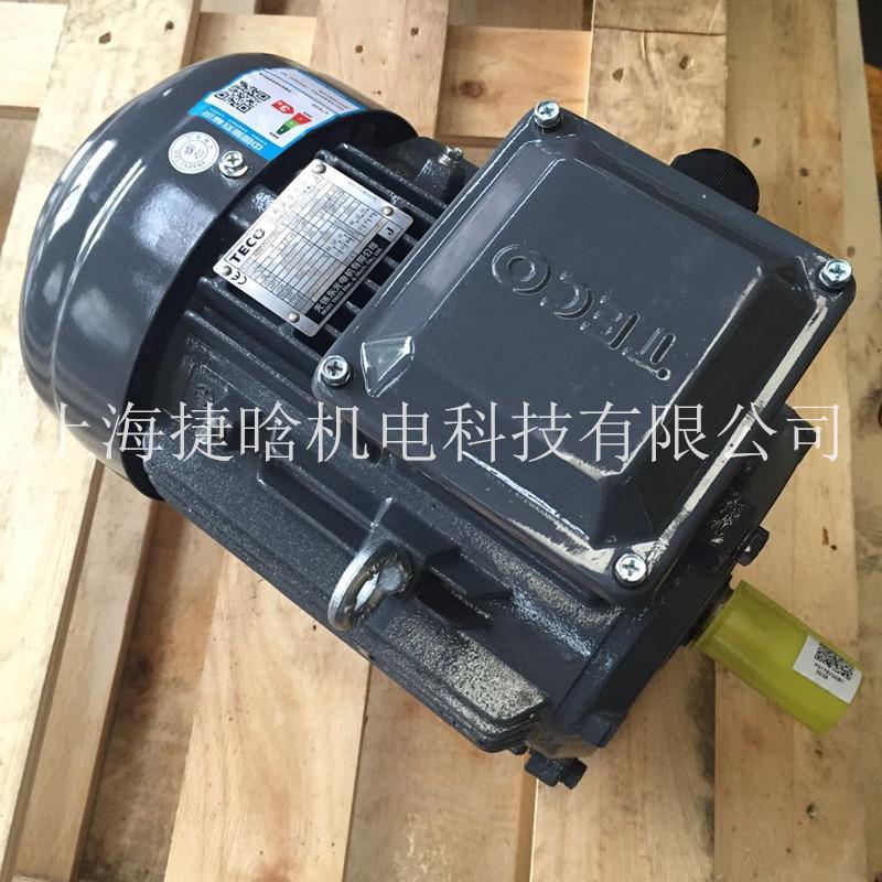 无锡东元 AEEVJ3卧式 AEUVJ3立式三相TECO电机